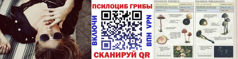 МЕГА как зайти  Давлеканово  Галлюциногенные грибы Cubensis 